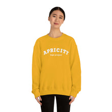 Load image into Gallery viewer, Apricity Hope Project Crewneck Sweatshirt