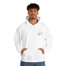 Load image into Gallery viewer, Apricity Hope Project 2023 Hoodie