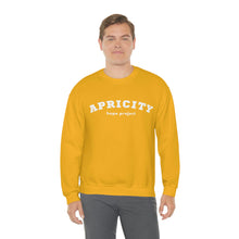 Load image into Gallery viewer, Apricity Hope Project Crewneck Sweatshirt